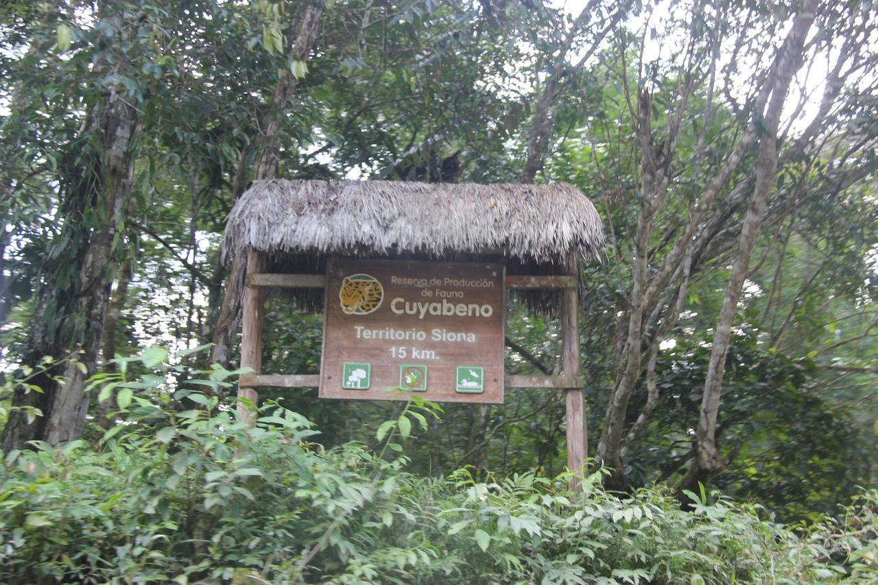 Green Forest Ecolodge Puerto Montufar Exterior foto